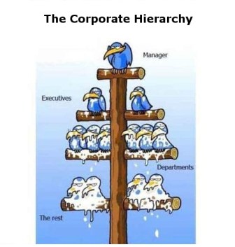 corphierarchy